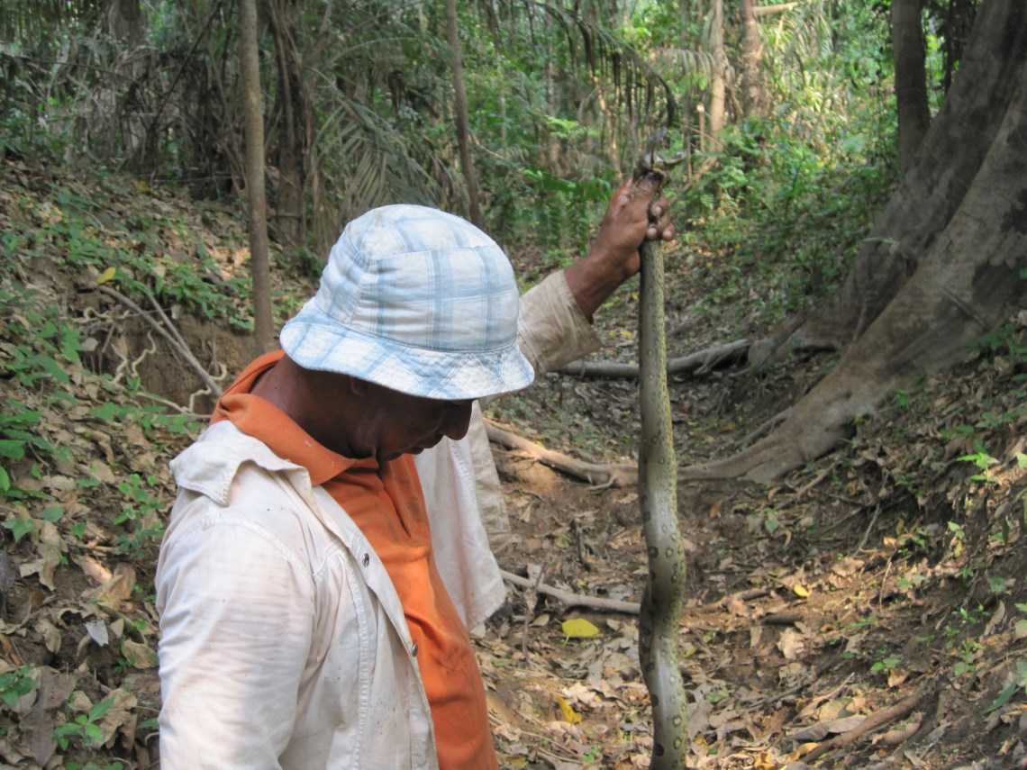 puruzinho e guariba - nov. 3 2009 085